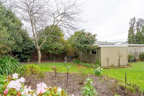 Photo of property in 11 Upper Plain Road, Masterton, 5810