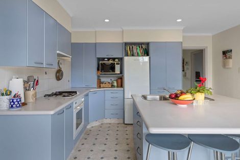 Photo of property in 479 Ruahine Street, Terrace End, Palmerston North, 4410