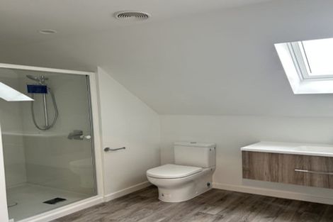 Photo of property in 209 Hastings Street East, Waltham, Christchurch, 8023