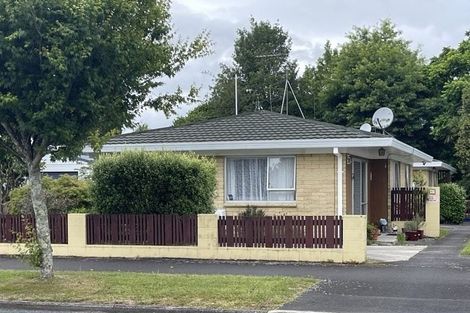 Photo of property in 47 Rimu Street, Maeroa, Hamilton, 3200