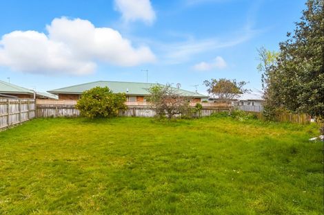 Photo of property in 21 Mckenzie Street, Levin, 5510