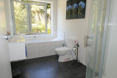 Photo of property in 3 Sanctuary Place, Kumara Junction, Hokitika, 7882