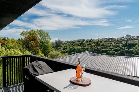 Photo of property in 29 Brugh Place, Andersons Bay, Dunedin, 9013