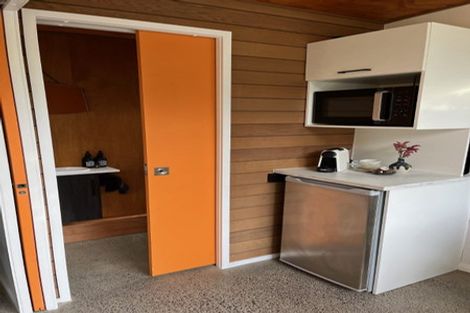 Photo of property in 19 Old Mill Road, Grey Lynn, Auckland, 1021
