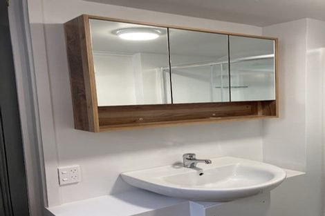 Photo of property in 16 Ann Street, Roslyn, Dunedin, 9010