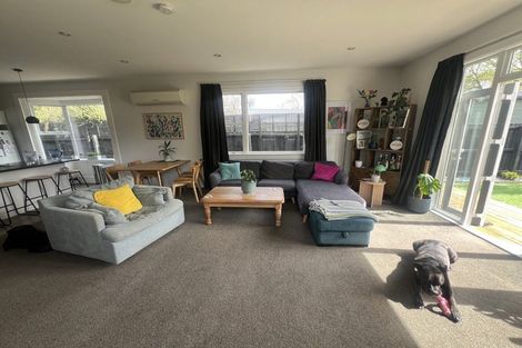 Photo of property in 49 Rose Street, Somerfield, Christchurch, 8024