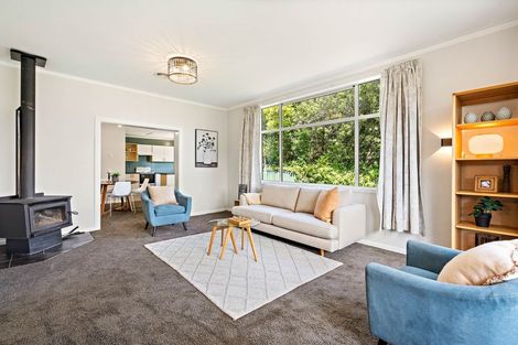 Photo of property in 29 Lonsdale Street, Belleknowes, Dunedin, 9011