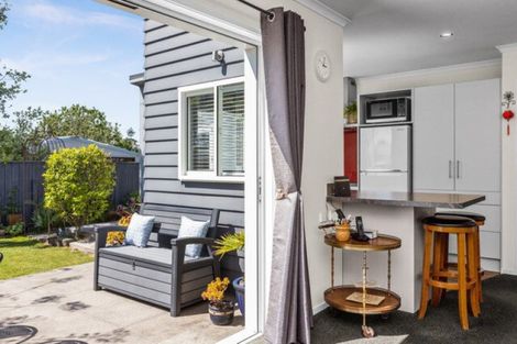 Photo of property in 117a Nelson Crescent, Napier South, Napier, 4110