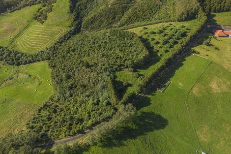 Photo of property in 89 Purangi Road, Purangi, Whitianga, 3591