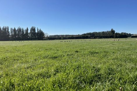 Photo of property in 186 Mcintoshs Road, Fernside, Rangiora, 7471