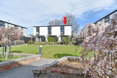 Photo of property in 3/8 New Brighton Road, Shirley, Christchurch, 8061