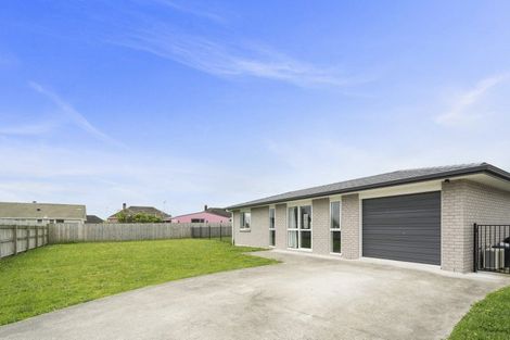 Photo of property in 90 Hinemoa Street, Levin, 5510