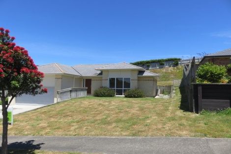 Photo of property in 48 Tongariro Drive, Aotea, Porirua, 5024