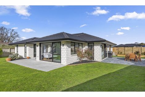Photo of property in 54 Ritchie Street, Te Aroha, 3320