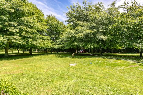 Photo of property in 314 Campbell Road, Richmond Downs, Walton, 3475