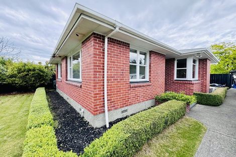 Photo of property in 21 Larch Place, Casebrook, Christchurch, 8051