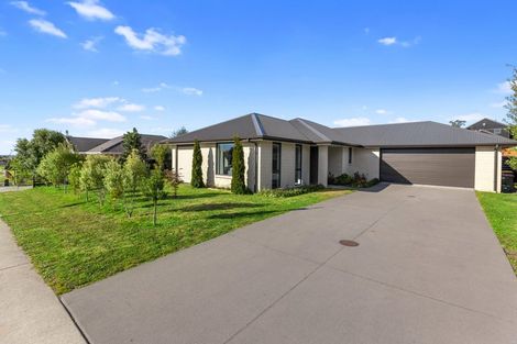 Photo of property in 56 Tynan Street, Te Puke, 3119