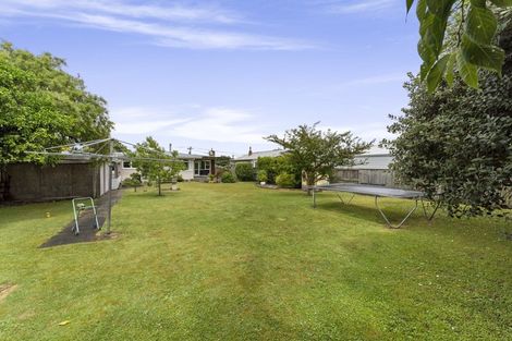 Photo of property in 22 Wellington Street, Feilding, 4702
