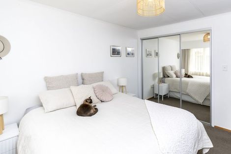 Photo of property in 151 Limbrick Street, Terrace End, Palmerston North, 4410