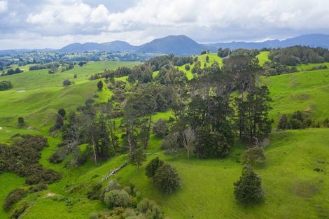 Photo of property in 229 Settlement Road, Kaiwaka, 0573