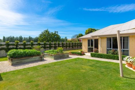 Photo of property in 4 Puketea Place, Redwoodtown, Blenheim, 7201