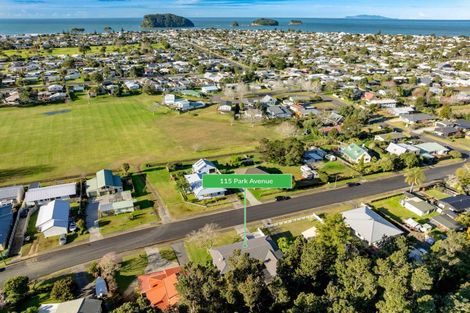 Photo of property in 115 Park Avenue, Whangamata, 3620