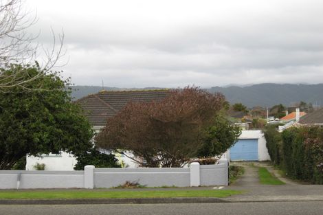Photo of property in 142 Winchester Street, Levin, 5510