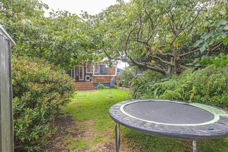 Photo of property in 52 Bourke Street, Palmerston North, 4410