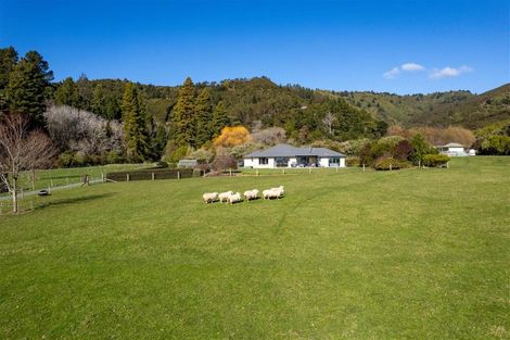 Photo of property in 89 Hillwood Drive, Wakapuaka, Nelson, 7071