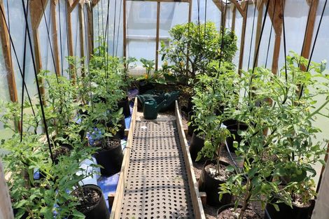 Photo of property in 4 Bonnies Chance, Seaward Bush, Invercargill, 9812