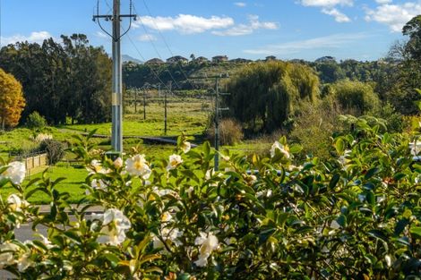 Photo of property in 26 Graham Place, Bellevue, Tauranga, 3110