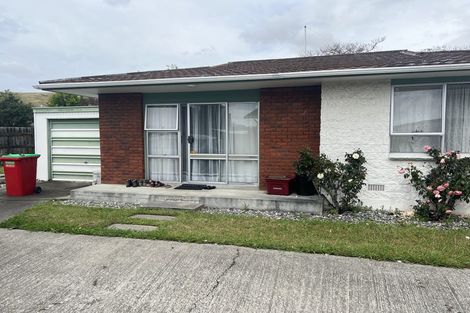 Photo of property in 205b Weld Street, Witherlea, Blenheim, 7201