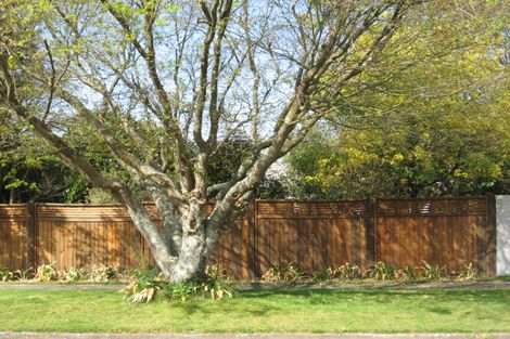 Photo of property in 8 Ashley Street, Glenholme, Rotorua, 3010