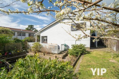 Photo of property in 7 Curacao Place, Grenada Village, Wellington, 6037