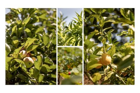 Photo of property in 8 Fisher Place, Opotiki, 3122