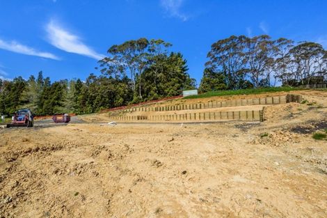 Photo of property in 98 Screen Road, Coatesville, 0793