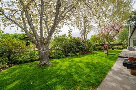 Photo of property in 2 Templer Street, Geraldine, 7930