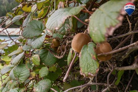 Photo of property in 513 Maungakotukutuku Road, Maungakotukutuku, Paraparaumu, 5032