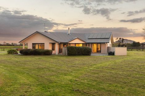 Photo of property in 317b Inglefield Street, Pirongia, Te Awamutu, 3876