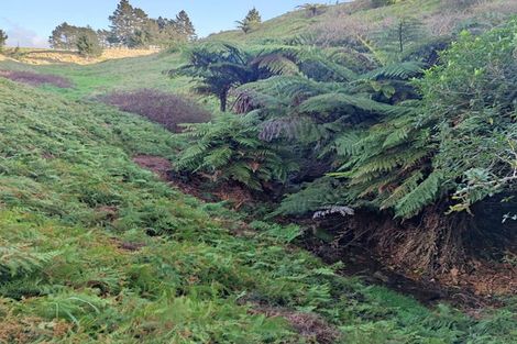 Photo of property in 405c Rowe Road, Ohauiti, Tauranga, 3173