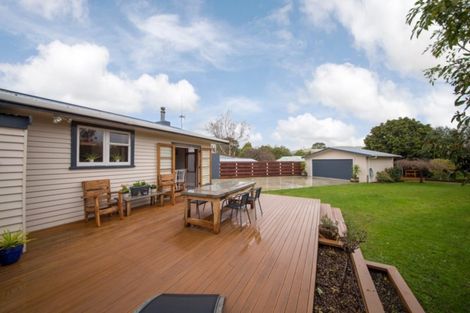 Photo of property in 41 Mulgrave Street, Ashhurst, 4810