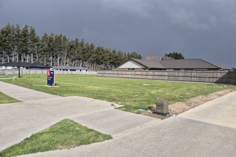 Photo of property in 12 Rayner Lane, Marton, 4710