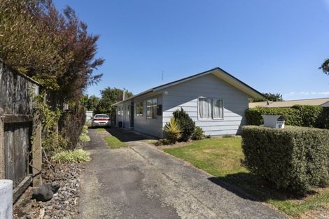 Photo of property in 17 Grenville Street, Levin, 5510