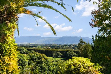 Photo of property in 31 Ongare Point Road, Tahawai, Katikati, 3170