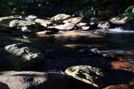 Photo of property in 4 Otuturu Creek Road, Ruamahunga, Thames, 3575