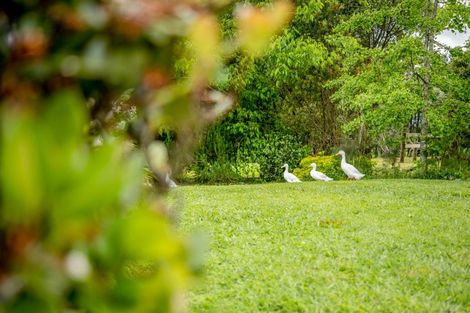 Photo of property in 68 Wiroa Road, Kerikeri, 0293