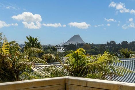 Photo of property in 14 Te Wati Street, Maungatapu, Tauranga, 3112