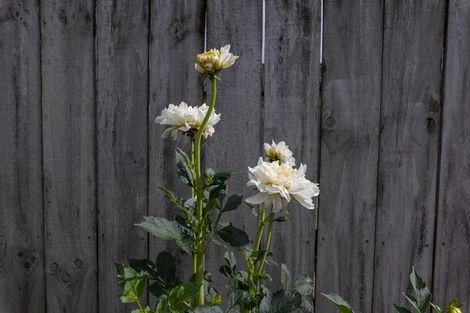 Photo of property in 32 Blunt Road, Te Kauwhata, 3710