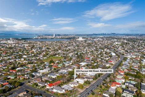 Photo of property in 225 Forrest Hill Road, Forrest Hill, Auckland, 0620