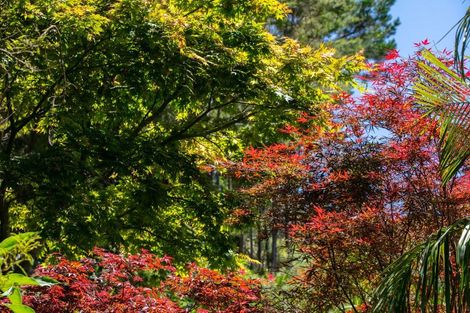 Photo of property in 111 Old Reservoir Road, Karangahake, Paeroa, 3674